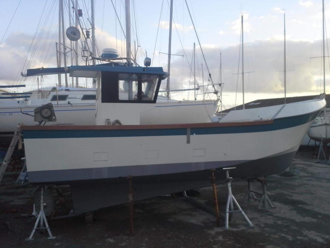 Pec hedig ii br a