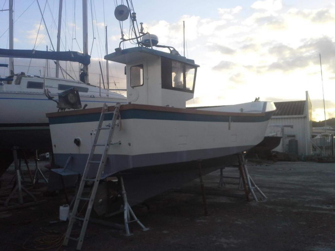 Pec hedig ii br b