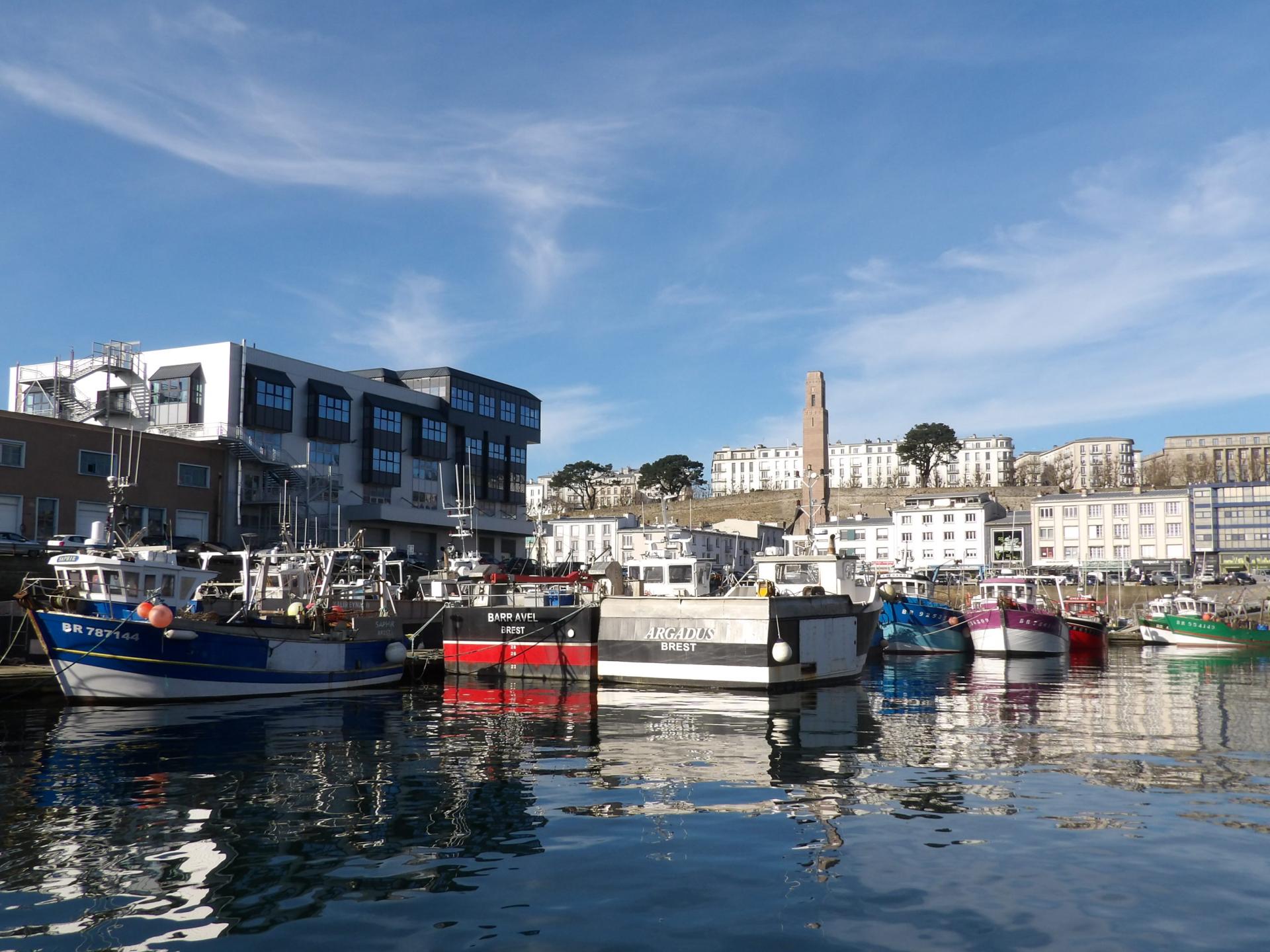 250114 port de brest a