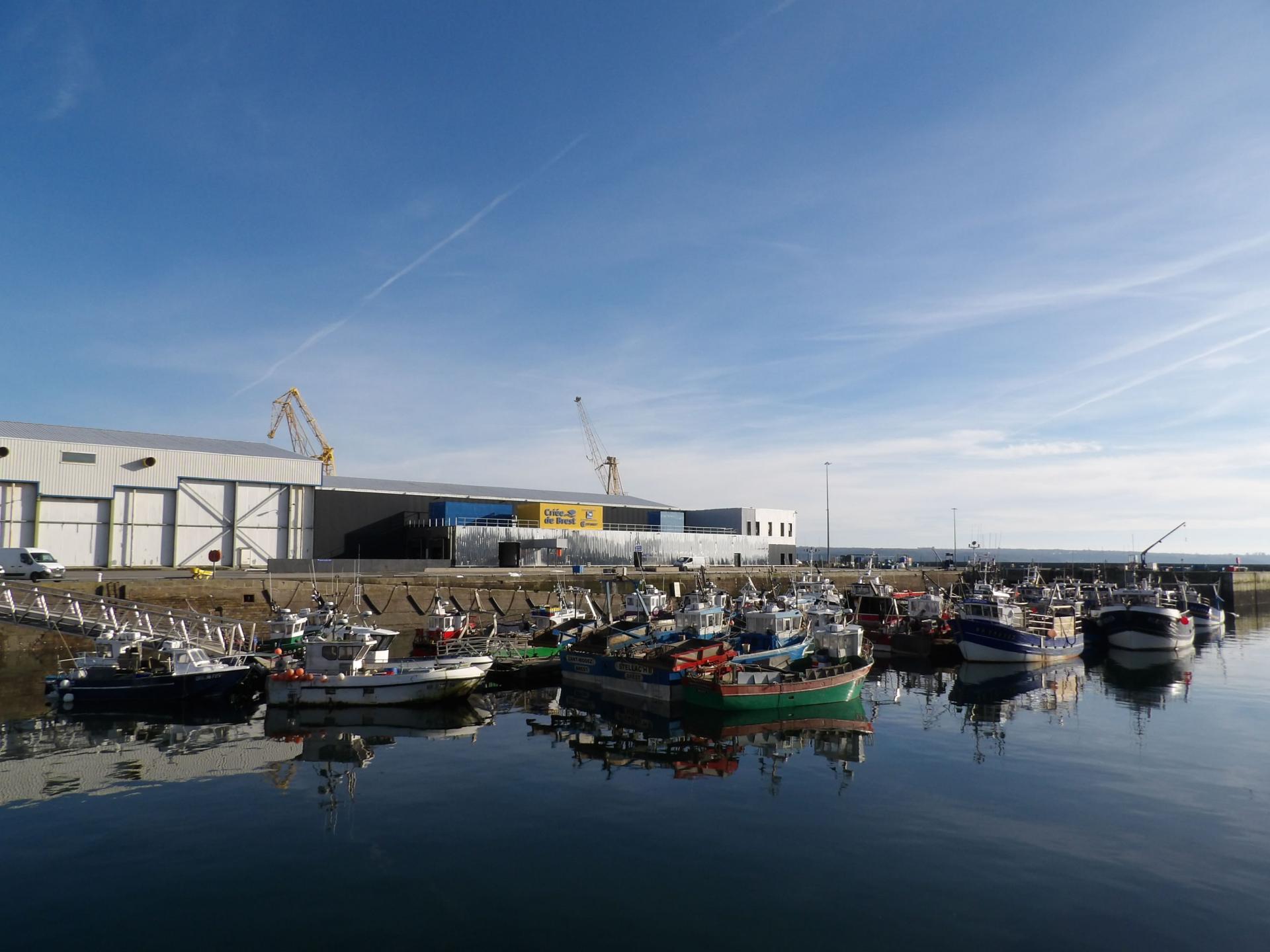 250114 port de brest b