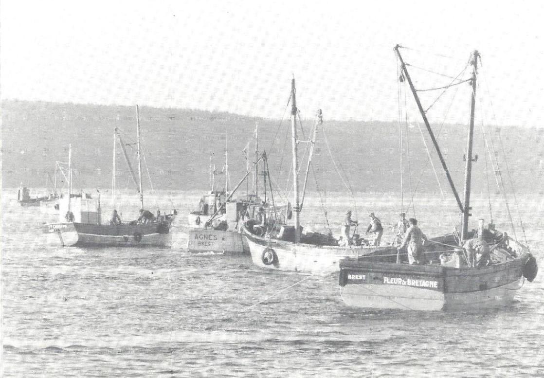 Cp brest coquillers br fleur de bretagne agnes ste christina