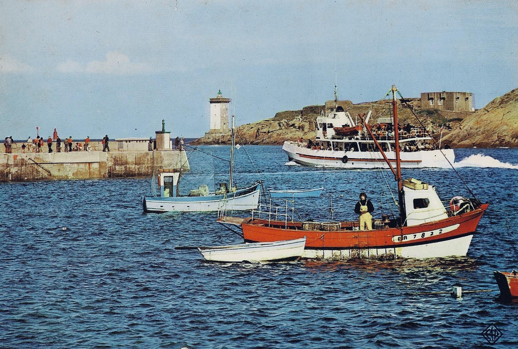 Petit poisson saint nicolas
